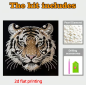 Preview: Diamond Painting Tiger